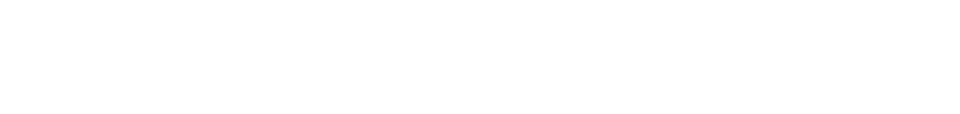 ACE COMBAT 8 WINGS OF THEVE X VALLEY APPAREL L.L.C.
